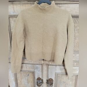 Everlane Mock Neck Wool Sweater